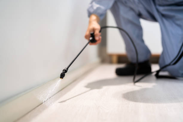 Licensed Pest Control service in Lisbon, ND - Show Me Pest Control